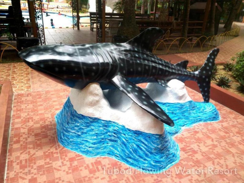 Tubod Flowing Water Resort Minglanilla Ngoại thất bức ảnh